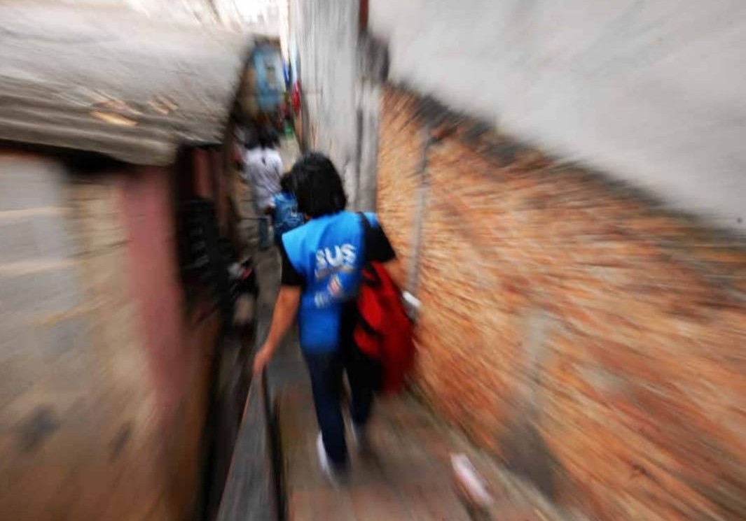 Ministério da Saúde (2013)